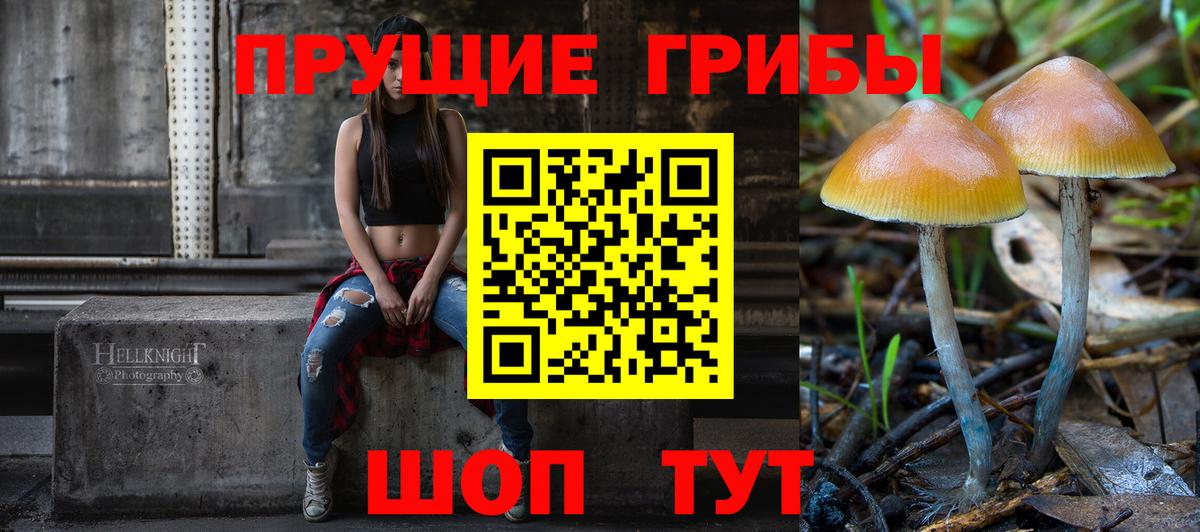 Галлюциногенные грибы Psilocybe Касимов