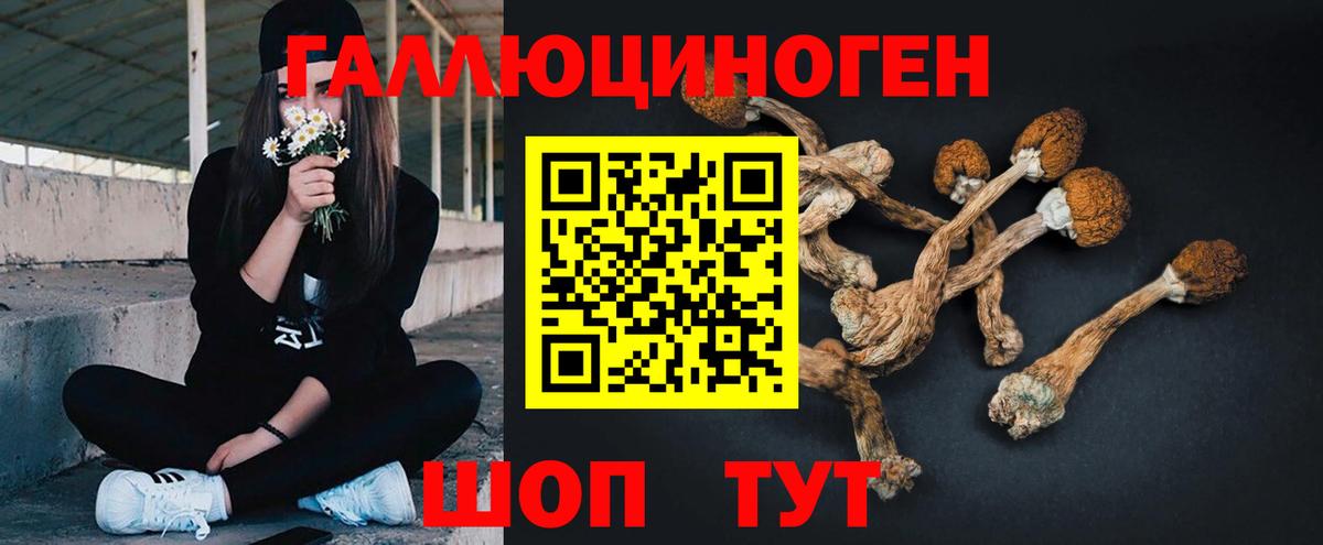 Галлюциногенные грибы Psilocybine cubensis  Вход с VPN  Галлюциногенные грибы мухоморы  Касимов 